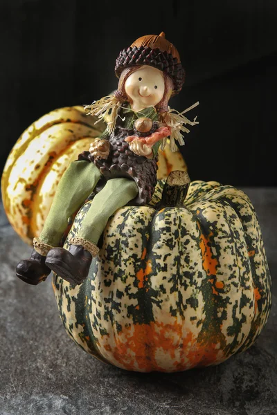 Decorating for Halloween. Small most pumpkin on a dark wooden ba — Stock Photo, Image