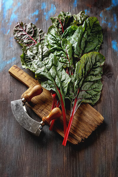 Швейцарский радужный шард, жизнерадостный. Плоский лежал, нож из або
