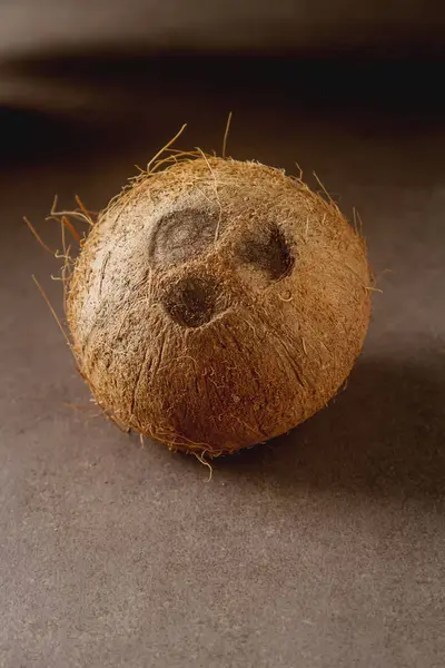 Tropikal egzotik meyve. Taze hindistan cevizi. Koyu arka plan.