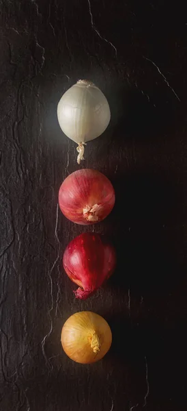 Cebollas de diferentes variedades y colores. Fondo gris oscuro . —  Fotos de Stock