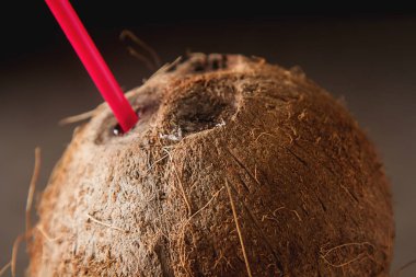 Hindistan cevizi sütü bardak serinletici yaz. Koyu arka plan.