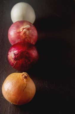 Soğan farklı çeşitleri ve renkler. Koyu gri arka plan.