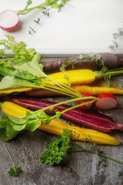 Olgun siyah, turuncu ve sarı havuç, maydanoz ve t ile turp