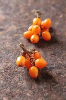 Taze deniz cehri suyu plaka üzerinde yalan dal. Karanlık woo