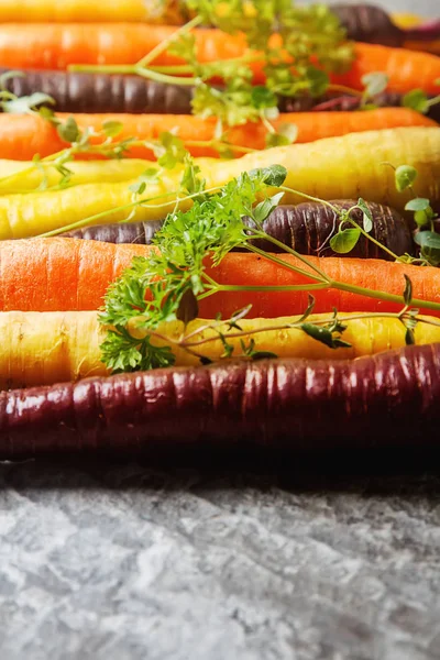 Maturare carote nere, arancioni e gialle con prezzemolo e timo. Da! — Foto Stock