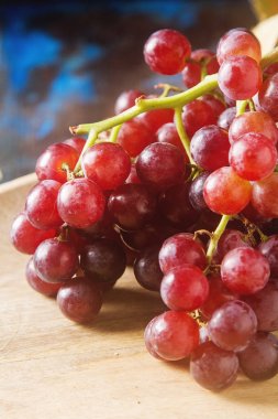 Kara üzüm taze demet. Sonbahar meyve. Fransız ve İtalyan cul