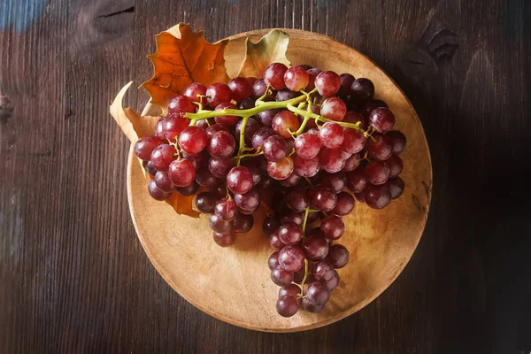 Bouquet frais de raisins noirs. Fruits d'automne. cul français et italien — Photo