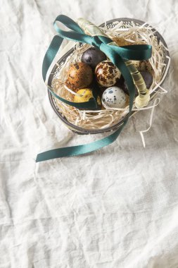 Çok renkli Paskalya yumurtası. Bıldırcın yumurtası tüylü sepet içinde. Da