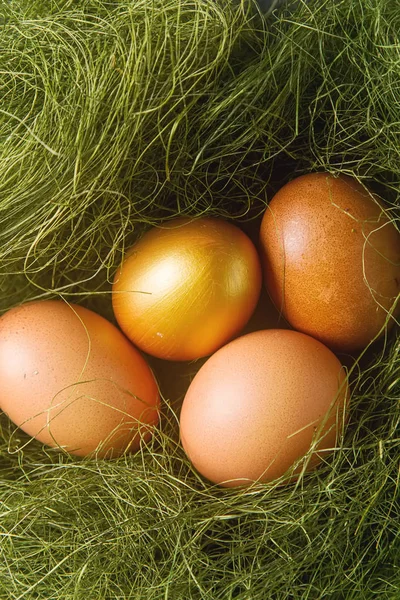 Uovo di Pasqua multicolore. Uova d'oro. Sfondo scuro. Primavera h — Foto Stock