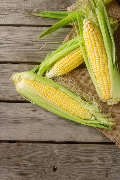 Olgun sarı mısır üzerinde tutuyordu. Ahşap arka plan