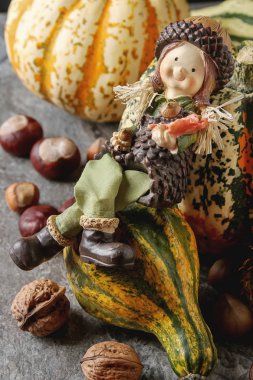 Cadılar Bayramı için dekorasyon. Küçük çoğu kabak kestane ile ve 