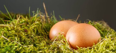 Paskalya Paskalya yumurtaları ile arka plan. kopya alanı.