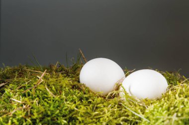 Paskalya Paskalya yumurtaları ile arka plan. kopya alanı.