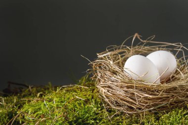 Paskalya Paskalya yumurtaları ile arka plan. kopya alanı.