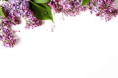 Bahar çiçekleri. Eflatun çiçekler Beyaz ahşap zemin üzerinde. En iyi VI