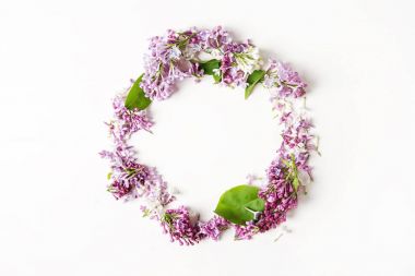 Bahar çiçekleri. Eflatun çiçekler Beyaz ahşap zemin üzerinde. En iyi VI