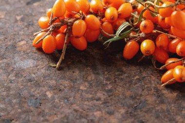 Taze deniz cehri suyu plaka üzerinde yalan dal. Karanlık woo