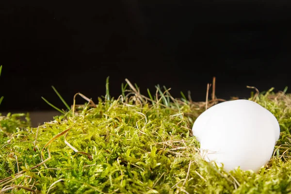 Sfondo pasquale con uova di Pasqua. copia spazio . — Foto Stock