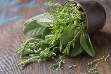 Eski masa bahçesinden taze İtalyan otlar karışımı. Biberiye