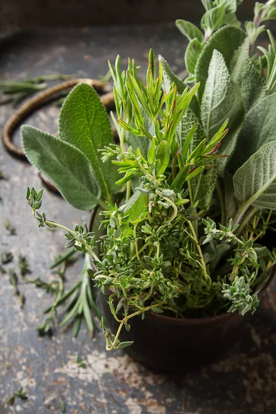 La mezcla de las hierbas frescas italianas del jardín sobre la mesa vieja. Rosemary —  Fotos de Stock