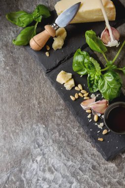 Bıçak taze yeşil fesleğen, zeytin yağı ile İtalyan parmesan peyniri,