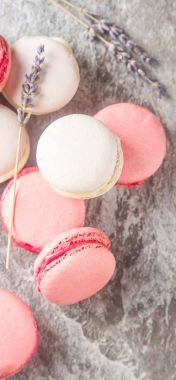 Geleneksel Fransız tatlılar. Dr ile çeşitli pembe, beyaz acıbadem kurabiyesi