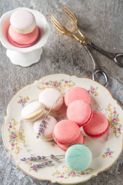 Geleneksel Fransız tatlılar. Dr ile çeşitli pembe, beyaz acıbadem kurabiyesi