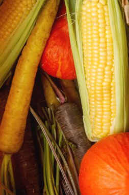 Renkli bir kağıt torba içinde havuç olgun sarı mısır ve balkabağı. A