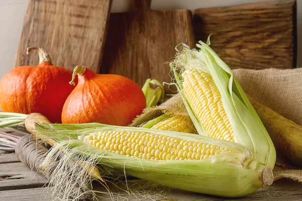 Il grano giallo maturo e una zucca hanno colorato carote su sacco. Caspita. — Foto Stock