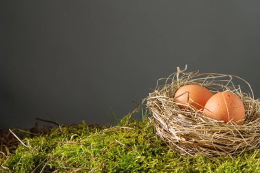 Paskalya Paskalya yumurtaları ile arka plan. kopya alanı.