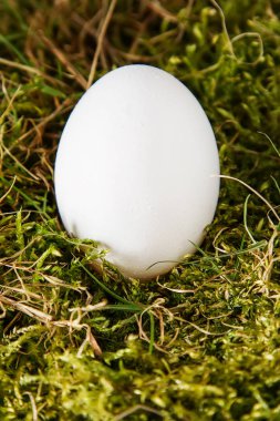 Paskalya Paskalya yumurtaları ile arka plan. Kopya alanı ile Üstten Görünüm.