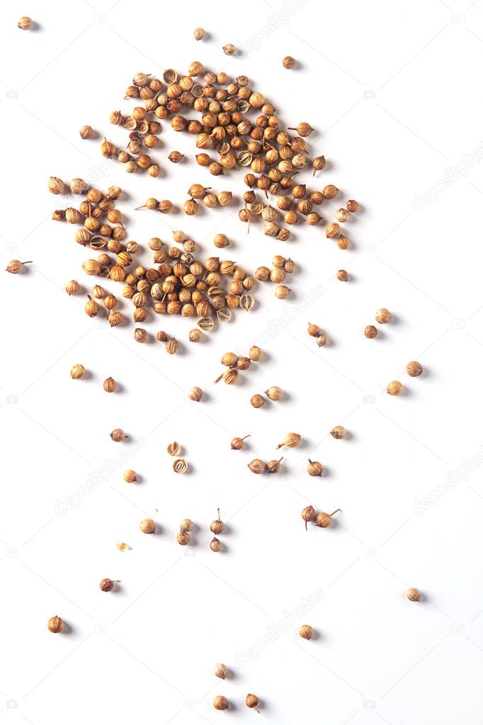 Spices for meat dishes and baking. Whole coriander seeds. White 