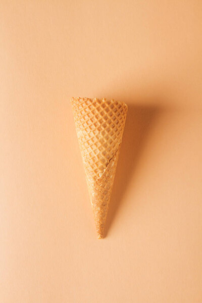 Простой рожок мороженого. Оранжевый Пространство для текста. Топ-10
