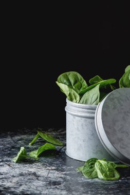 Eski beton masaya taze mini ıspanak yıkanır