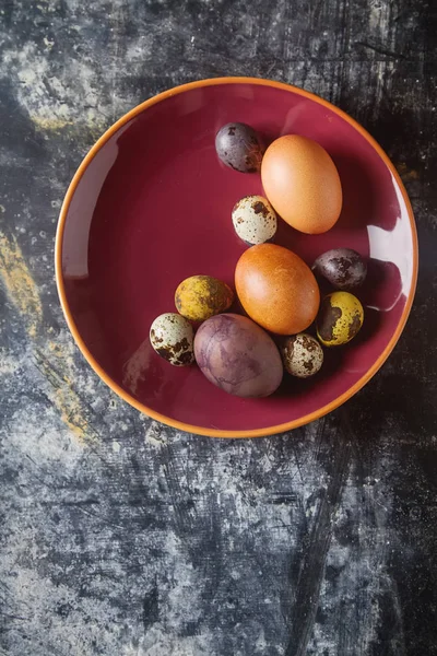 Multi-colored easter eggs. Chicken, quail. Dark background. Spri — Stock Photo, Image