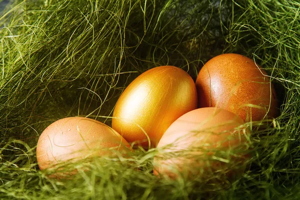 Uovo di Pasqua multicolore. Uova d'oro. Sfondo scuro. Primavera h — Foto Stock