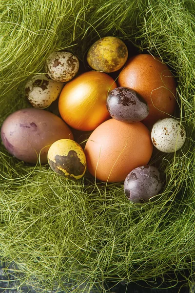 Uovo di Pasqua multicolore. Uova d'oro. Sfondo scuro. Primavera h — Foto Stock