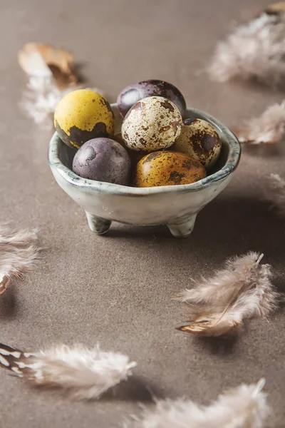 Multi-colored Easter egg. Quail eggs in a nest with feathers. Da — Stock Photo, Image