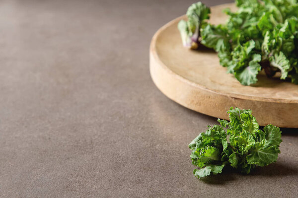 Fresh kale cabbage on a wooden board. Dark gray background.