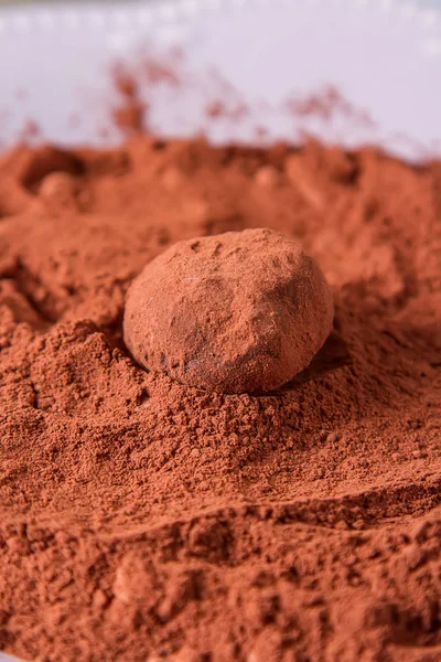 Hemmagjord chokladtryffel med kakaopulver. Kopiera utrymme. Luxur — Stockfoto