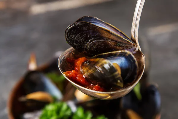 Cozze con erbe in una ciotola di rame. Frutti di mare. Cibo sulla riva — Foto Stock