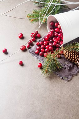 Karanlık bir arka plan üzerinde kırmızı meyveler. Kızılcık beyaz bir kova 