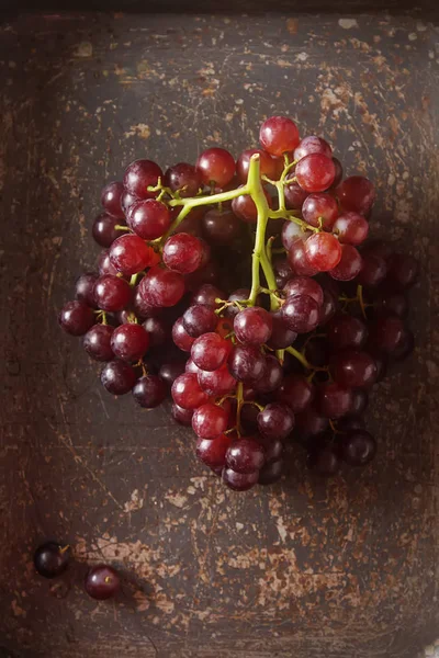 Bouquet frais de raisins noirs. Fruits d'automne. cul français et italien — Photo