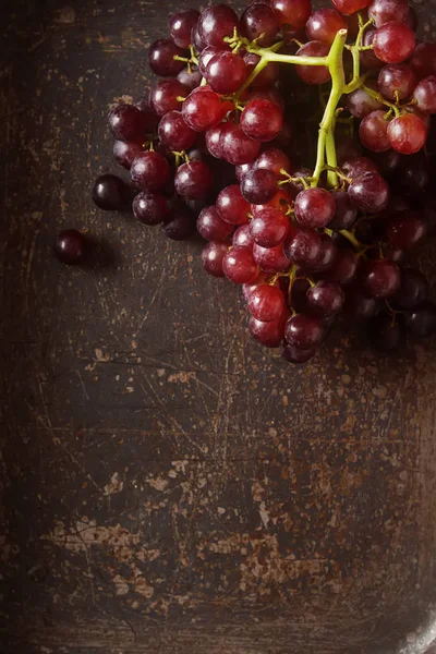 Bouquet frais de raisins noirs. Fruits d'automne. cul français et italien — Photo