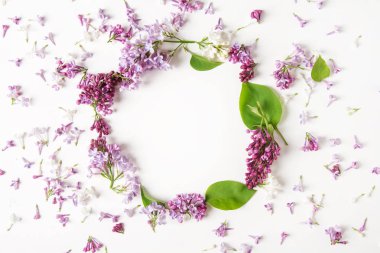 Bahar çiçekleri. Eflatun çiçekler Beyaz ahşap zemin üzerinde. En iyi VI