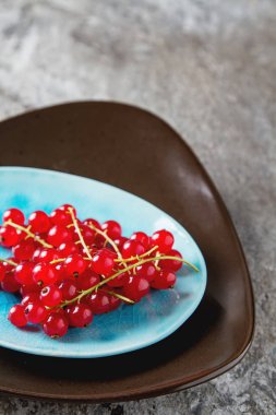 Olgun kırmızı kuş üzümü mavi tabakta. Koyu ahşap arka plan.