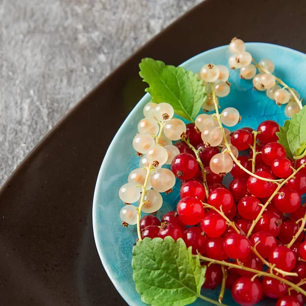 Red and white ripe currant on a blue plate. Dark wood background