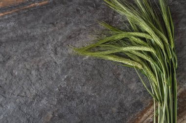 Basit bir taş zemin üzerine yeşil buğday. Tahıllar, bir madde