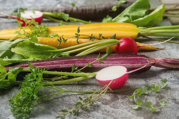 Ripe black, orange and yellow carrots, radish with parsley and t — Stock Photo, Image