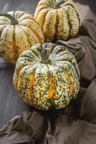 Halloween symbol. Ripe pumpkins on the farm with a dark cloth. B — Stock Photo, Image